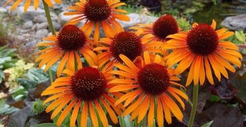 8697ce94db9ae0338f0e3e8106f8a19cf511e023