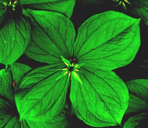 74625bb85ec140fc3188138581f4ba579452b2fb