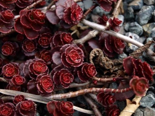 36f45e048b65f119d6ae4af782309ec34b47d14d