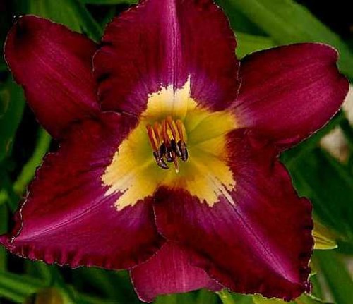 382b5444b424f76d0501c9ffe0f29612d1bb7594