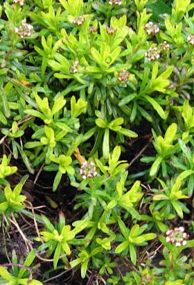 29179b649d6f5869a57f23ff2ce4c297a7a38dd0