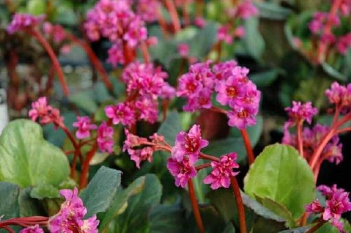 f72cea3f074b61808f290aacf468077677e0748a