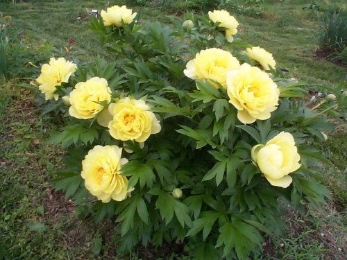 43d85d9692fded0029d83c7579f34c6883fa7c4c