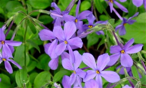 14c42aa549e78c640b8151a1319d49deca98f8c1