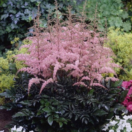 0cd48fec134d1c69d92259655af9a318be5e5bdb