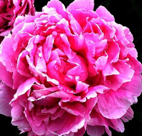 453565807e737f1e181441024185a5bc490ae894