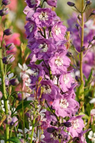 884abdff6cd5d5b1ad683b8839b1a69e5224ca62