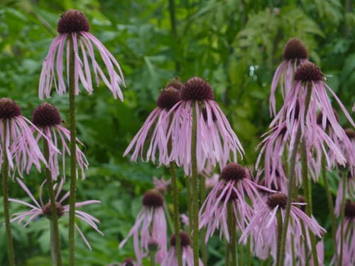 7d5d8a1ac18d2ccb142133c00c742b6453c3554a