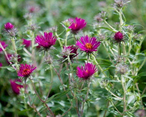 4ca437cb8813b85f5301cb31f107d4579226e10f