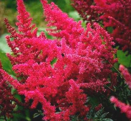 4441b2f2b06dde3b21d9453f673ad55e715cf453