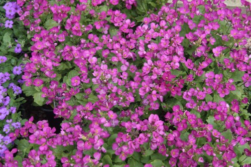 62cca8039697547264ee630ef4bb360a3b3def2a