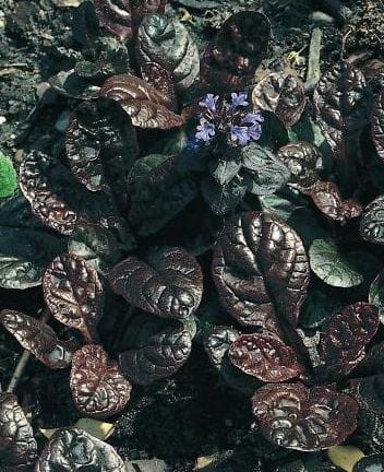 cd38686ea36a1e0929e4658db2c0b5a4a737362e