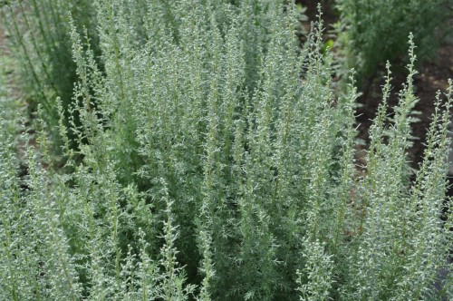 dbbb13309b77354dc1888a2f83e3e10959e90577