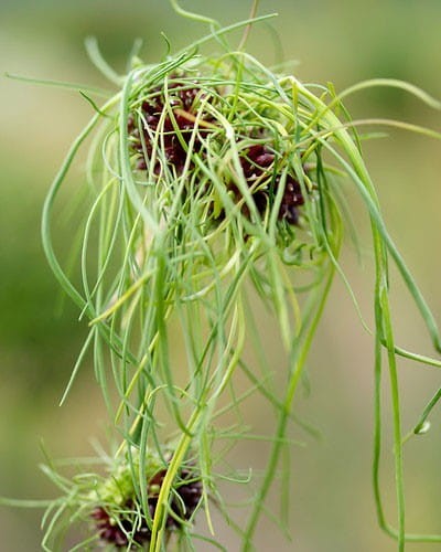 edc340d67f8765135714feadb662328e455acfd9