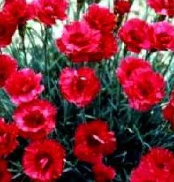 744e220ea179c6efaaf380799e9318e6b767a3d2