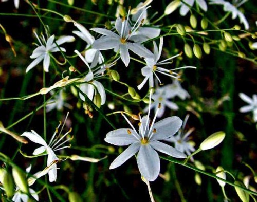 b7ec85e8007c0af02cb3d8bfc6bcac5804d5f894