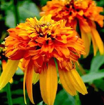 ce8ab98129bbbc8b6266b90da0c76fff886766e7