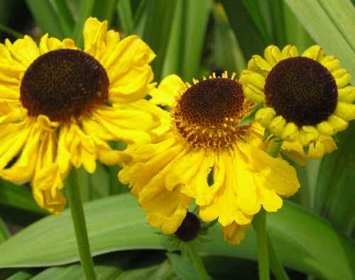 c58debdf779d95269024e26cca8e7786428adc77