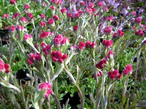 bd564df1d06914a9be70d0a10704b652a69d8c09