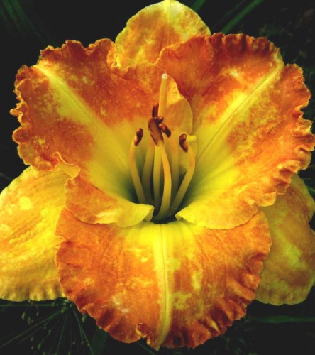 259f710260a0206275a8ce52d08768e47a3d8c2f