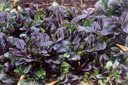 328c4cdbee6a2424269a1aad70873707e9c70fc2