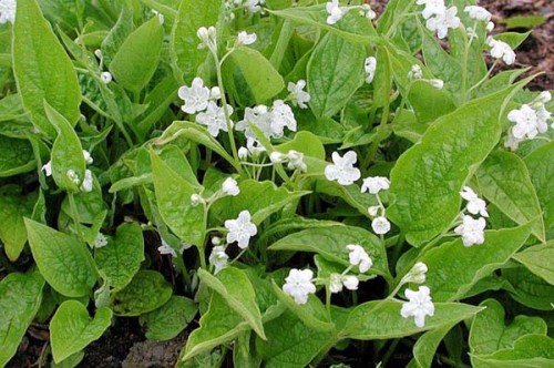 28f5ea574aa273d8775d21add6baba4ff4b0c166