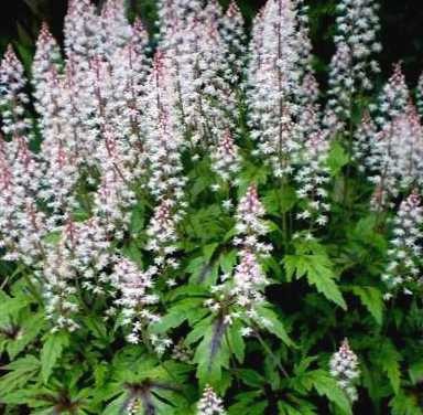 132484cc577d97ca602779e8646192cc5f8f9718